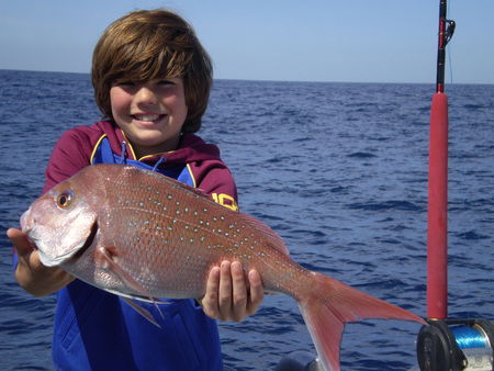 Mills Charters Fishing And Whale Watch Cruises - Kawana Tourism 4
