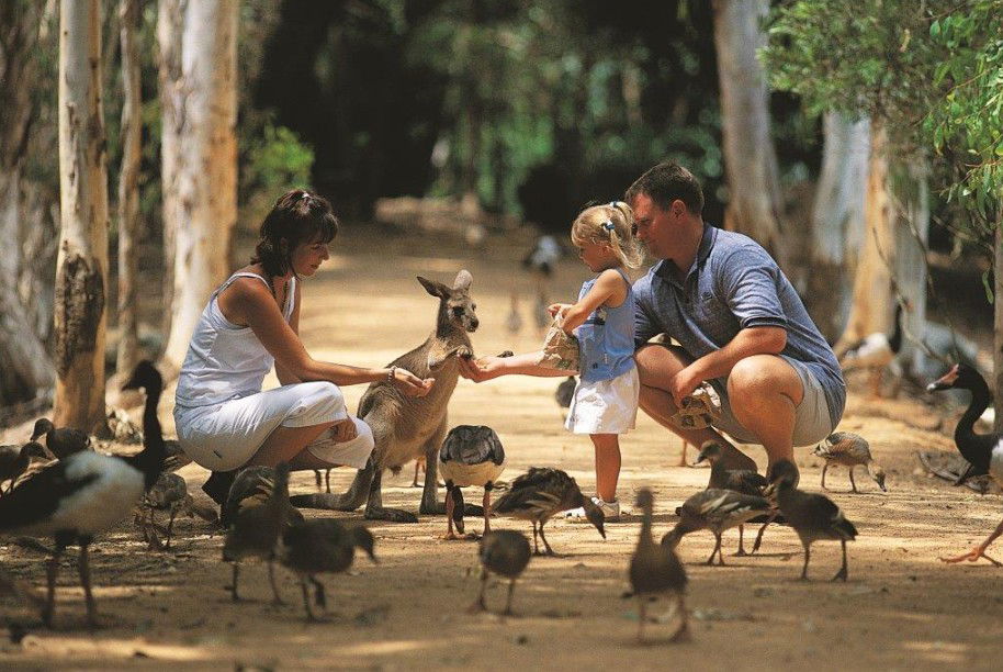 Townsville Mc ACT Kawana Tourism