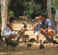 Billabong Sanctuary - Kawana Tourism