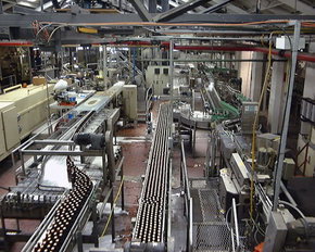 Cascade Brewery Tour - Kawana Tourism 2