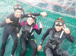 Dolphin Swim Australia - Kawana Tourism 7