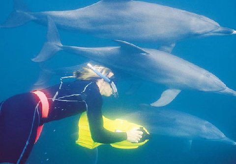 Rockingham Wild Encounters - Kawana Tourism 1