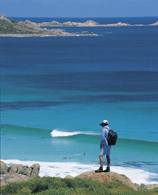 Smiths Beach - Kawana Tourism 0