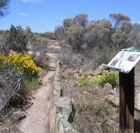Christmas Rock Walk - Kawana Tourism