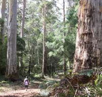 Warren River Loop Walk - Kawana Tourism