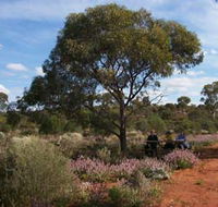 Karlkurla Bushland Park - Kawana Tourism