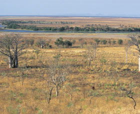 Marglu Billabong - Kawana Tourism 0