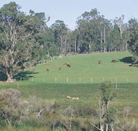 Scenic Drives - Bunbury Collie Donnybrook - Kawana Tourism