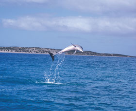 Steep Point - Kawana Tourism 0