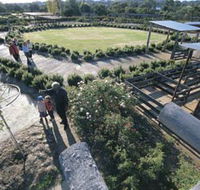 Kojonup Rose Maze - Kawana Tourism