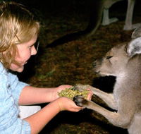 Discovery Bay's Walk on the Wild Side - Kawana Tourism