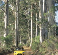 Scotsdale Tourist Drive - Kawana Tourism