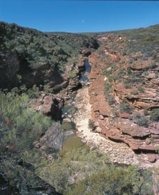 Ross Graham Lookout - Kawana Tourism 0