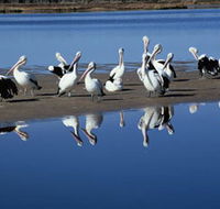 Peel Region Canoe Trails - Kawana Tourism