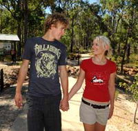Crooked Brook Forest - Kawana Tourism
