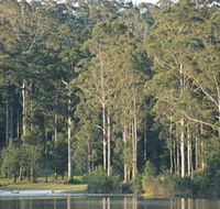 Big Brook Dam - Kawana Tourism