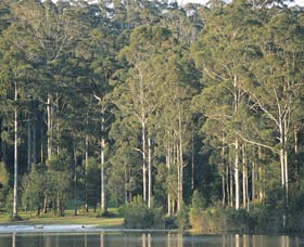 Big Brook Dam - Kawana Tourism 0