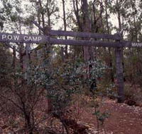 Marrinup Trail Dwellingup - Kawana Tourism