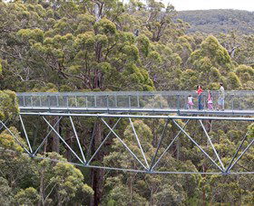 Walpole Wilderness Discovery Centre - Kawana Tourism 0