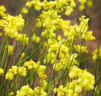 Mount Madden Scenic Drive - Kawana Tourism