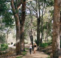 Law Trail and Lotterywest Federation Walkway Kings Park - Kawana Tourism