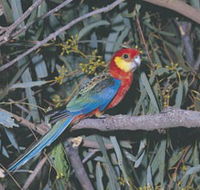 King River - Kawana Tourism