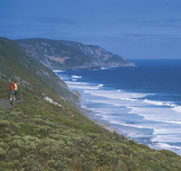 Sandpatch - Kawana Tourism