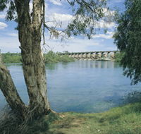 Bandicoot Bar - Kawana Tourism