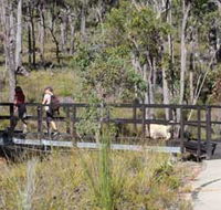 Forest Path Crooked Brook - Kawana Tourism