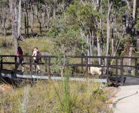 Forest Path, Crooked Brook - Kawana Tourism 0