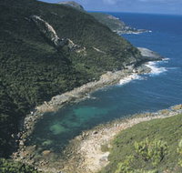 Jimmy Newells Harbour - Kawana Tourism