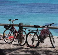 Parker Point Marine Snorkel Trail - Kawana Tourism
