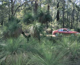 Bridgetown Jarrah Park - Kawana Tourism 0
