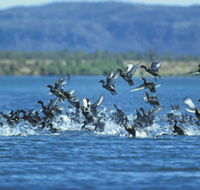 Ord River - Kawana Tourism