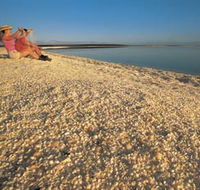 Shell Beach - Kawana Tourism