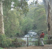 Cascades - Kawana Tourism