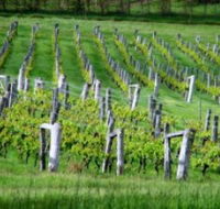 Sienna Estate Winery - Kawana Tourism