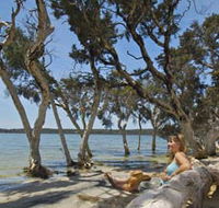 Stokes National Park - Kawana Tourism