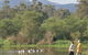 Porongurup National Park - thumb 0