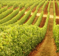 Darlington Estate Winery and Restaurant - Kawana Tourism