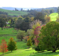Golden Valley Tree Park - Kawana Tourism