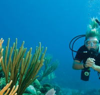 Coastal Water Dive - Kawana Tourism