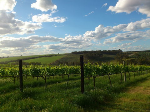 Plantagenet Wines - Kawana Tourism 1