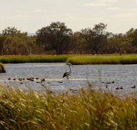 Anytime Adventures in Mandurah  the Peel Region - Kawana Tourism