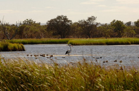 Anytime Adventures In Mandurah & The Peel Region - Kawana Tourism 0