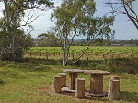Goodieson Brewery - Kawana Tourism 0