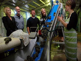 Eyre Peninsula's Seafood Trail - Kawana Tourism 0