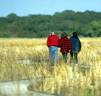 Onkaparinga River Recreation Park - Kawana Tourism