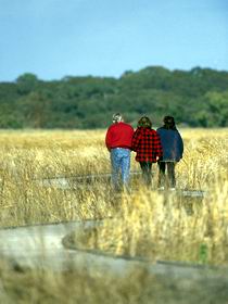 Onkaparinga River Recreation Park - Kawana Tourism 0