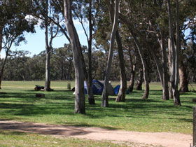 Laurie Park SA Kawana Tourism